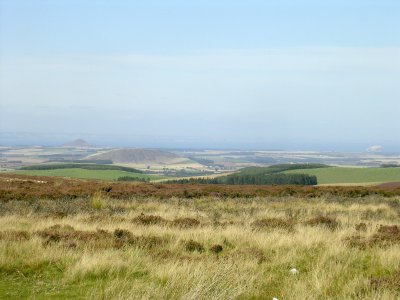 Lammermuir Hill view of Firth of Forth.